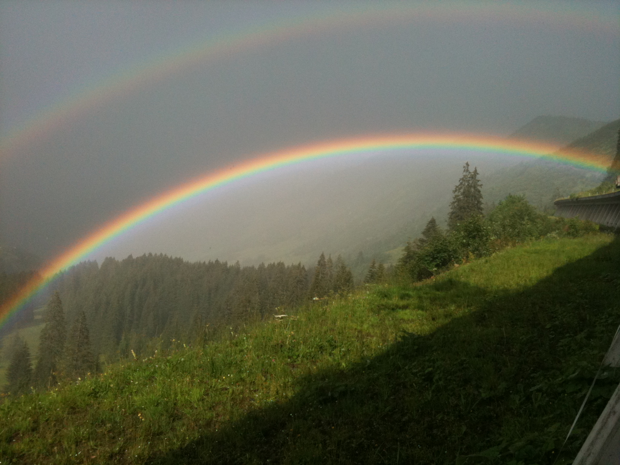 Regenbogen